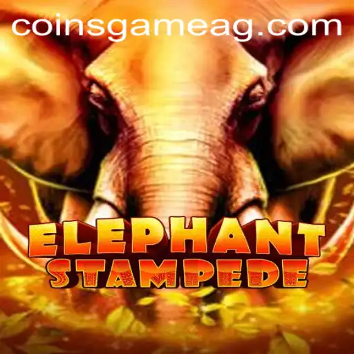 ElephantStampede: Navigating the Thrilling World with pk55.bet