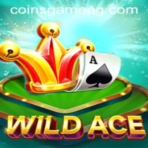 Exploring the Thrills of WildAce: A New Frontier in Online Gaming
